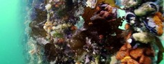 1280x500 07.jpg