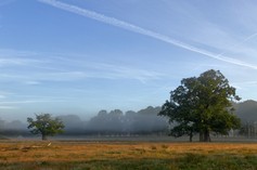 vallei van de bomen (10).jpg