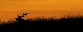 1280x500 01.jpg