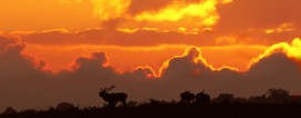 1280x500 07.jpg