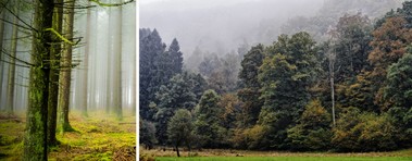 1280x500 ardennen01.jpg