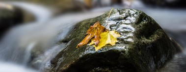 1280x500 ardennen02.jpg