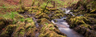 1280x500 105.jpg