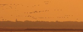 1280x500 04.jpg