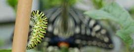 1280x500 04.jpg