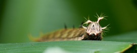 1280x500 13.jpg